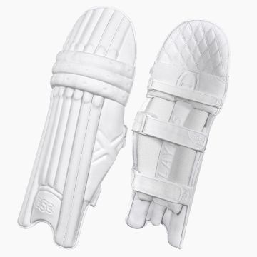 Xlite L.E Batting Legguard