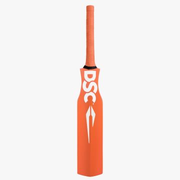 Catching Cricket Bat