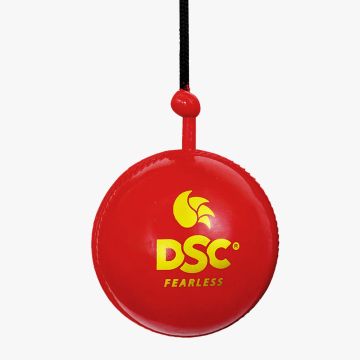 Hanging Synthetic Ball (Pack of 1)